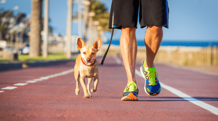 3 Aplicativos de Ganhar Dinheiro Caminhando é Seguro, Funciona?