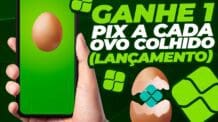 ganhe 1 pix a cada ovo colhido app lançamento como ganhar dinheiro na internet