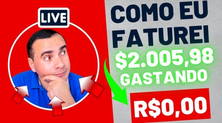 Como FATUREI $ 2.005,98 EM 28 DIAS Trabalhando em Casa SEM GASTAR NADA | Ganhe Dinheiro na Internet